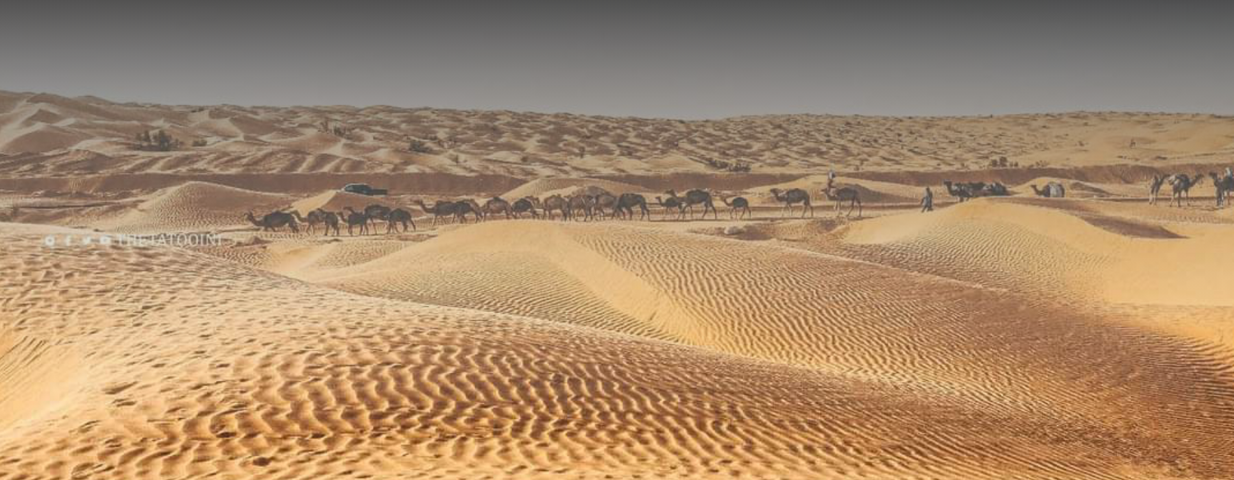 الشركة الأهلية الجهوية الأقصى المبارك لخدمات سيارات الأجرة لواج بتوزر